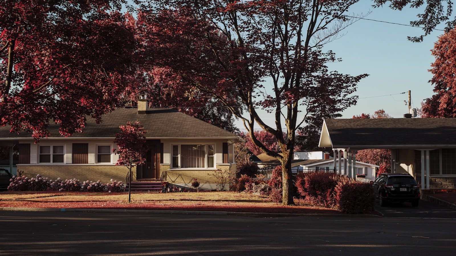 Cozy suburban home exterior with a well-kept yard